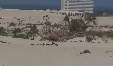 MILF سکس در زفاف ساده فکر برای گربه کردن