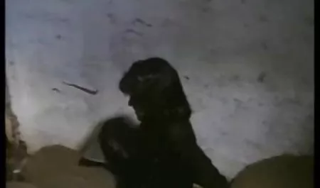 رابطه جنسی سبزه سکسی درشب Curvy
