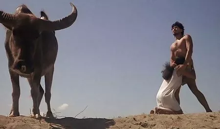 اولین شب سکس Campshot